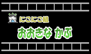 にこにこ組 おおきなかぶ 千代田せいが保育園は千代田区岩本町にある保育園です